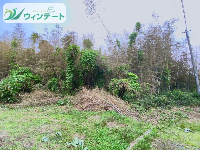 外観：308000186712