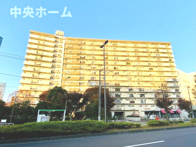 外観：313004909045