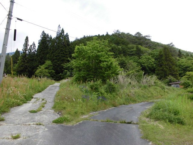 外観：320000022890