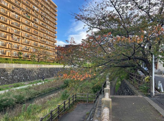 外観：311002362256