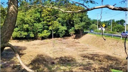 日の光が入る明るい土地