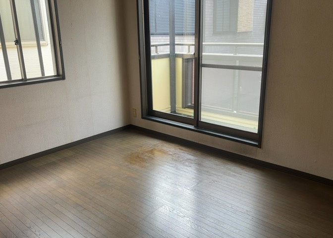 洋室のメリットは重い家具が置きやすく、身の回りが整理しやすいことです。　床がフローリングのため畳とは異なり凹みにくいです。　クローゼットなど収納が豊富で、普段使わない旅行カバンや服の整頓も簡単にです。