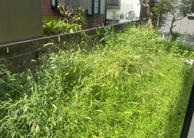 庭があることでガーデニングや家庭菜園はもちろん、こどもの遊び場やペットを放して遊ぶことができます。また、家の周囲に余裕があるということです。隣地との間があれば、十分な日当たりと、風通しが確保できます。