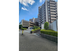 コスモシティ鳩ヶ谷駅前の外観