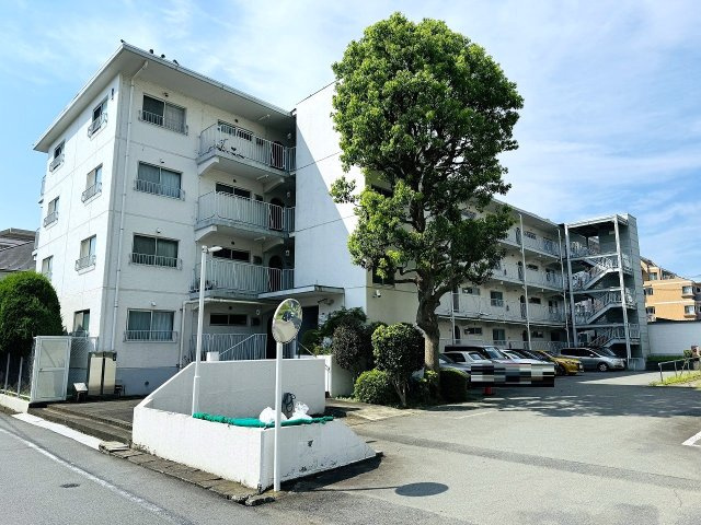 外観：313004630774