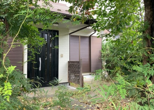 外観：313004416604