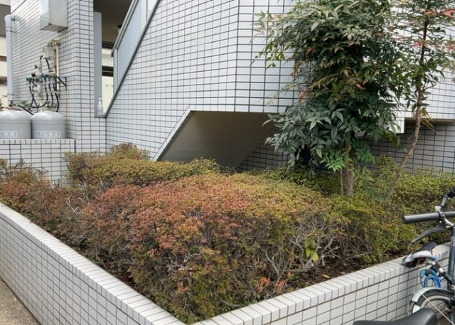 中庭（パティオ）とは、一つの建築物の内部に設けられた、壁などで囲われている庭のことを指します。コの字型、ロの字型が主流ですが、L字型の中庭もあります。最近では、インテリア性の高さからも人気があります。