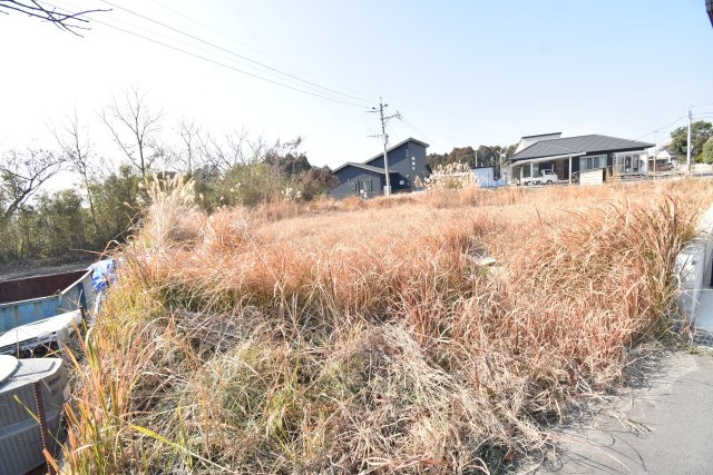 外観：346000035075