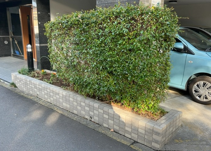 物件によっては、入居者が個人的に使用できる専用庭がついているものもあります。また、住宅の中にある土間の部分を庭と呼ぶこともあります。庭の用途は住む人によって変わり、それによってデザインもさまざまです。