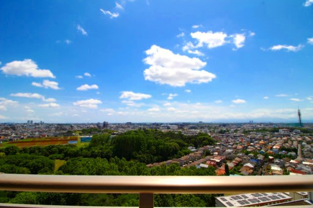 展望