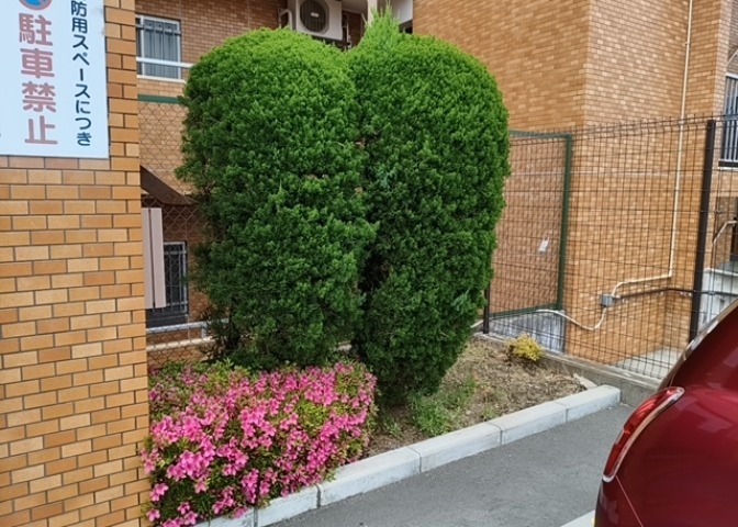 物件によっては、入居者が個人的に使用できる専用庭がついているものもあります。また、住宅の中にある土間の部分を庭と呼ぶこともあります。庭の用途は住む人によって変わり、それによってデザインもさまざまです。