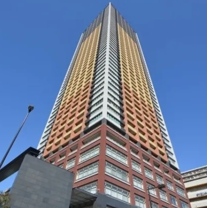 外観：313004667664