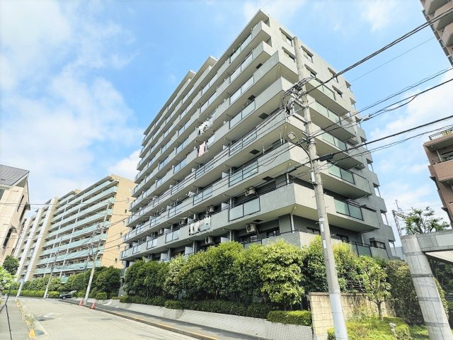 外観：313004301599