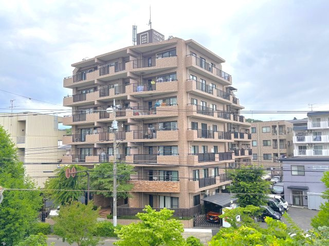 外観：313004787052