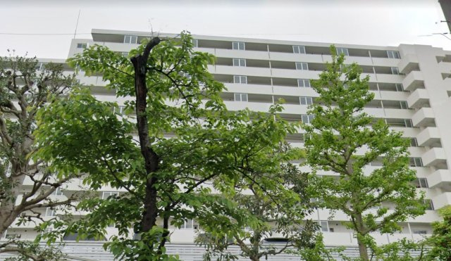 外観：313004560194