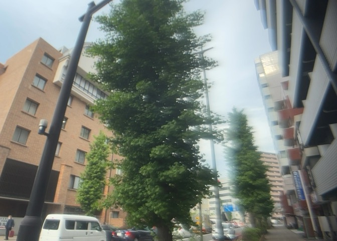 眺望を気にして物件を探す場合、前面に建物が建っていないか現地で確認しましょう！前面に建物があると景色はもちろん、日当たりや風通しにも影響が出てきます。住んだ時のことを想像しながら現地見学をしましょう。