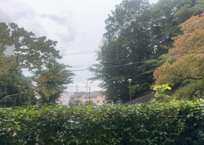 バルコニーからの眺望です。閑静な住宅街に佇む1階住戸からの景色は開放感があり、心地よい光と風を感じられます。暮らし始めてからの日々の生活環境や周辺の緑豊かな雰囲気を現地にてぜひお確かめください。