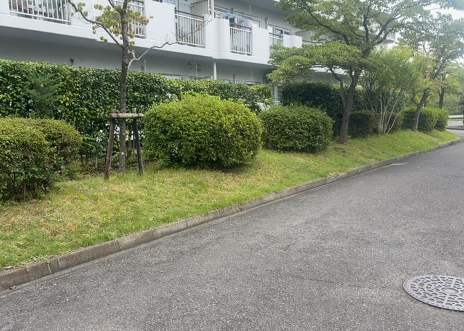 1階住戸ならではの21平米の専用庭が付いています。月額350円でご利用でき、ガーデニングや子どもの遊び場など多目的にご活用いただけます。南西向きで陽当りも良く、緑のある暮らしをお楽しみいただけます。