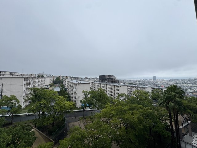 展望