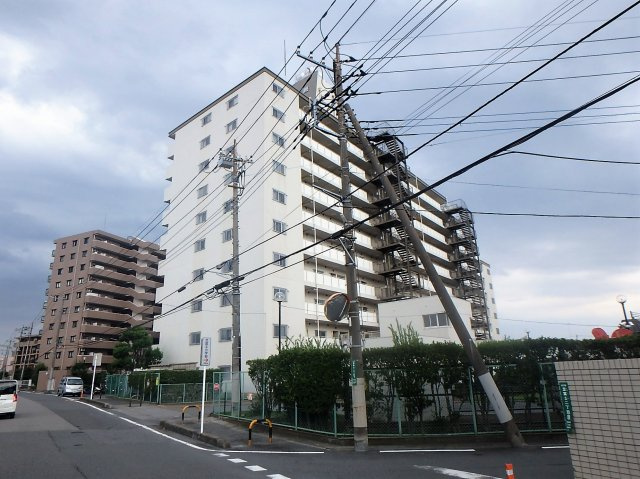 外観：311002427383