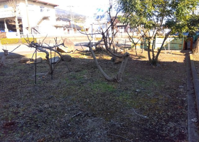 ドラッグストアやMEGAドン・キホーテまで車で約5分圏内！　