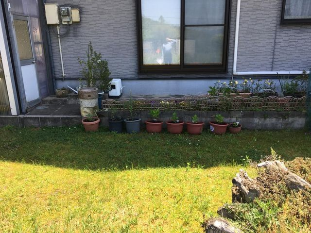 敷地中央からの景色