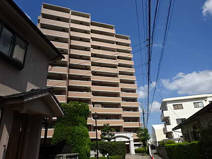 外観：334000247300