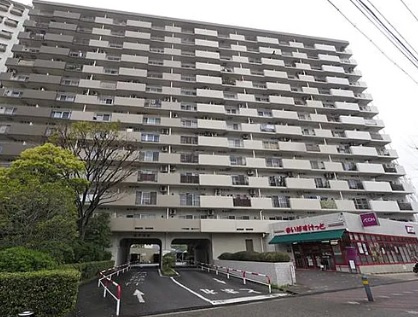 外観：313004709905