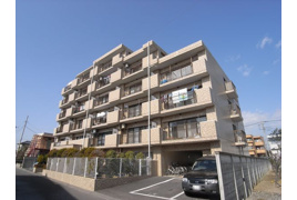 ローヤルシティ行田の外観