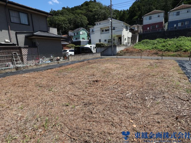 撮影日：令和8年8月