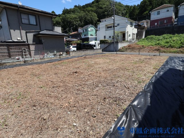 撮影日：令和8年8月