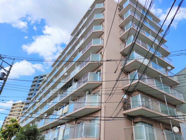 外観：313004669234