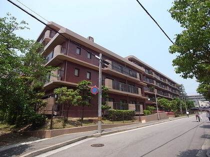 外観：328000625842