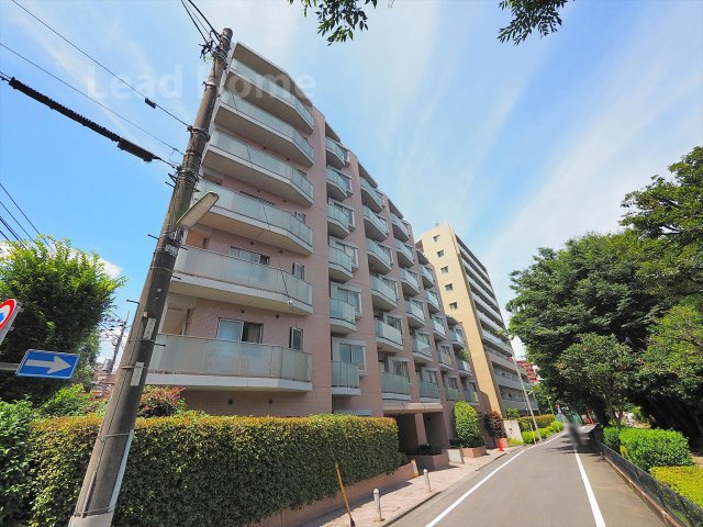 外観：313004851464