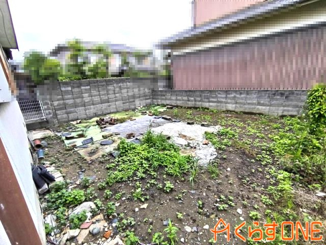 庭