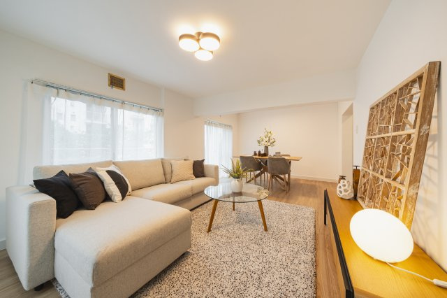 約19.5帖のLDKになります。※家具・小物は付属しません